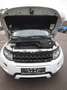 Land Rover Range Rover Evoque Pure 2,2 TD4 Weiß - thumbnail 6