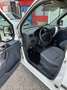 Ford Tourneo Connect Basis lang 1,8 TDCi Weiß - thumbnail 9