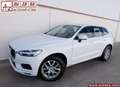 Volvo XC60 B4 Core FWD Aut. Blanco - thumbnail 12