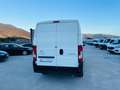 Citroen Jumper L2H2 140 CV EURO 6D 1 PROPRIETARIO Blanc - thumbnail 6