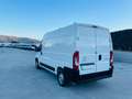 Citroen Jumper L2H2 140 CV EURO 6D 1 PROPRIETARIO Blanc - thumbnail 7