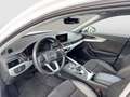 Audi A4 allroad quattro 3.0 TDI Weiß - thumbnail 8