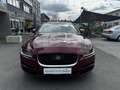 Jaguar XE 20d Portfolio Aut. *Gepflegter Zustand; PANO; ACC* Rot - thumbnail 2