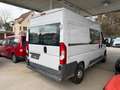 Fiat Ducato Hoch 35 130 L2H2 RS: 3450 mm KLIMA Weiß - thumbnail 3