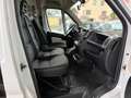 Fiat Ducato Hoch 35 130 L2H2 RS: 3450 mm KLIMA Weiß - thumbnail 13