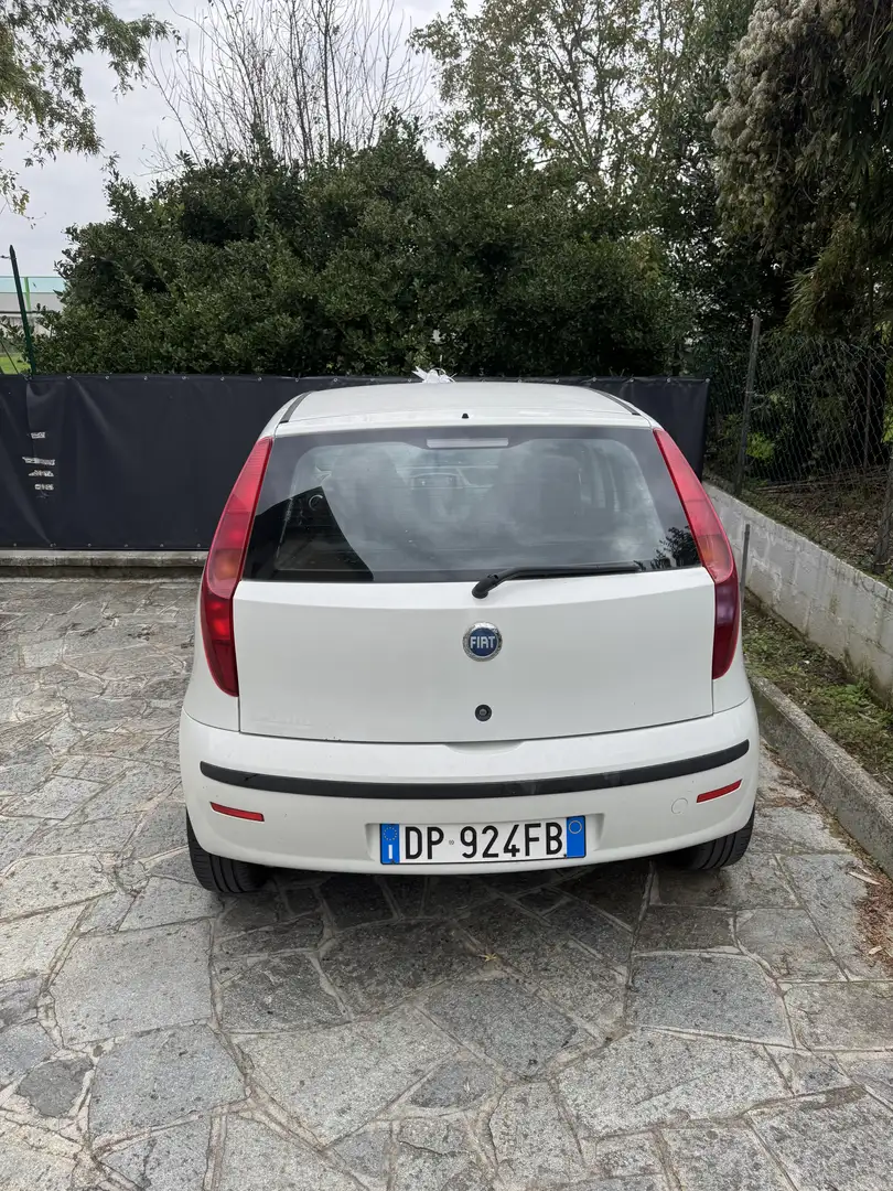 Fiat Punto 5p 1.2 Classic Dynamic - 2