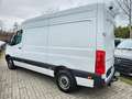 Mercedes-Benz Sprinter 317 CDI 2,8tAHK|AC|STDHZ|TÜV+ÖL+BREMneu Weiß - thumbnail 7