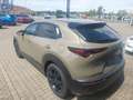 Mazda CX-30 2.5L e-SKYACTIV G 140ps Homura sofort - thumbnail 3