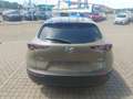 Mazda CX-30 2.5L e-SKYACTIV G 140ps Homura sofort - thumbnail 11
