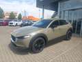 Mazda CX-30 2.5L e-SKYACTIV G 140ps Homura sofort - thumbnail 2