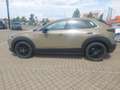 Mazda CX-30 2.5L e-SKYACTIV G 140ps Homura sofort - thumbnail 19