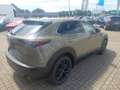 Mazda CX-30 2.5L e-SKYACTIV G 140ps Homura sofort - thumbnail 13