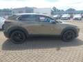 Mazda CX-30 2.5L e-SKYACTIV G 140ps Homura sofort - thumbnail 14