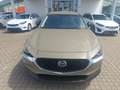 Mazda CX-30 2.5L e-SKYACTIV G 140ps Homura sofort - thumbnail 18