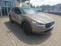 Mazda CX-30 2.5L e-SKYACTIV G 140ps Homura sofort - thumbnail 17