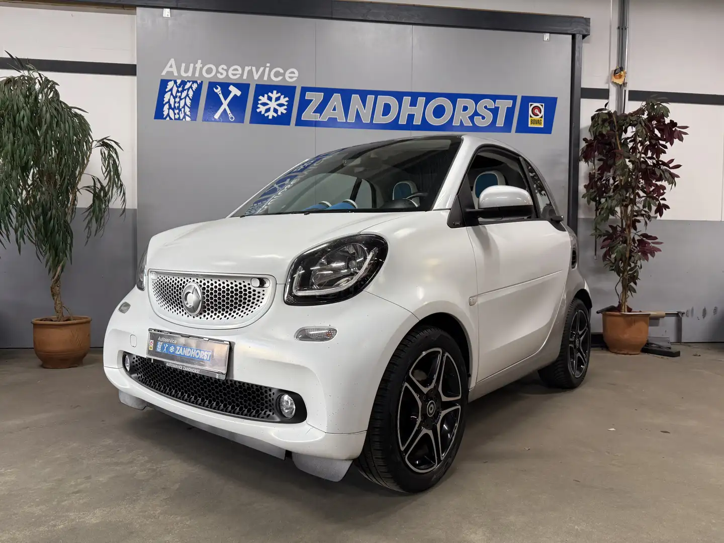 smart forTwo 1.0 Proxy Bianco - 1