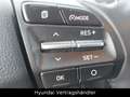 Hyundai KONA Trend 2WD/Standheizung/Allwetterreifen Weiß - thumbnail 20