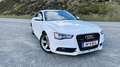 Audi A5 2.0 TDI DPF multitronic - thumbnail 12