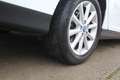 Ford Focus Wagon 1.0 125 Pk Titanium Edition Half Leder Elec Wit - thumbnail 21