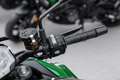 Kawasaki Z H2 Modell 2025, 4 JAHRE WERKSGARANTIE Серый - thumbnail 7