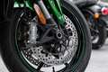 Kawasaki Z H2 Modell 2025, 4 JAHRE WERKSGARANTIE Серый - thumbnail 13