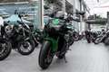 Kawasaki Z H2 Modell 2025, 4 JAHRE WERKSGARANTIE Серый - thumbnail 6