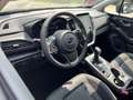 Subaru Crosstrek Platinum 2.0ie*Navi*LED*ACC*Schiebed.* Gris - thumbnail 24