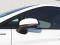Ford Fiesta ST-Line 1,0 EcoBoost Hybrid Bianco - thumbnail 21