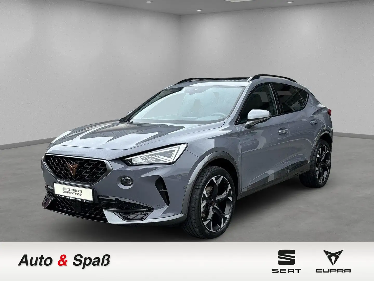 CUPRA Formentor 2.0 TDI Grau - 1