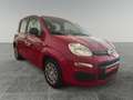 Fiat Panda 1.0 Hybrid Rot - thumbnail 4