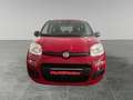 Fiat Panda 1.0 Hybrid Rot - thumbnail 2
