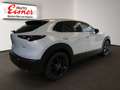 Mazda CX-30 G140 AT HOMURA BIG DEAL - thumbnail 12