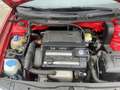 Volkswagen Golf 1.4-16V Trendline Rood - thumbnail 10