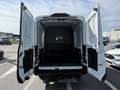 Ford Transit 350M L2H2 TD Trend FWD Blanc - thumbnail 7