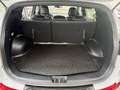 Kia Sportage Fifa Brazuca 2,0 CRDi AWD Bianco - thumbnail 6