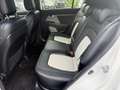 Kia Sportage Fifa Brazuca 2,0 CRDi AWD Bianco - thumbnail 4