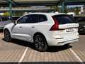 Volvo XC60 T8 Recharge AWD Inscription *Standh*Kamera* Blanc - thumbnail 8