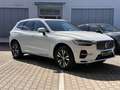 Volvo XC60 T8 Recharge AWD Inscription *Standh*Kamera* Blanc - thumbnail 5