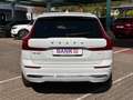 Volvo XC60 T8 Recharge AWD Inscription *Standh*Kamera* Bianco - thumbnail 7