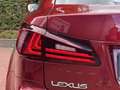 Lexus IS 250 Facelift Mark Levinson DEALER Rot - thumbnail 17