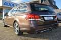 Mercedes-Benz E 350 T BlueTec 4Matic 7G-Tronic Avantgarde AHK/LED/Stdh Braun - thumbnail 14