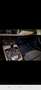 Audi A6 Avant 2,0 TDI Quattro S-tronic - thumbnail 14