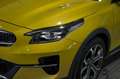 Kia XCeed 1.5 MHEV iMT Emotion 118kW 160CV Amarillo - thumbnail 18