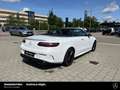 Mercedes-Benz E 53 AMG E 53 AMG 4M+ Cabrio Night 20" Massage Dynamic+ LED Wit - thumbnail 24