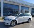 Volkswagen Golf Variant Golf Variant 1.4 tgi Business 110cv - Bianco - thumbnail 1