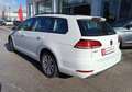 Volkswagen Golf Variant Golf Variant 1.4 tgi Business 110cv - Bianco - thumbnail 3