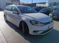 Volkswagen Golf Variant Golf Variant 1.4 tgi Business 110cv - Bianco - thumbnail 5