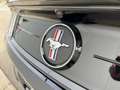 Ford Mustang 2.3 Ecoboost - 55 Years Edition - Cabrio - 290 cv Zwart - thumbnail 20