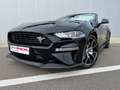 Ford Mustang 2.3 Ecoboost - 55 Years Edition - Cabrio - 290 cv Schwarz - thumbnail 10