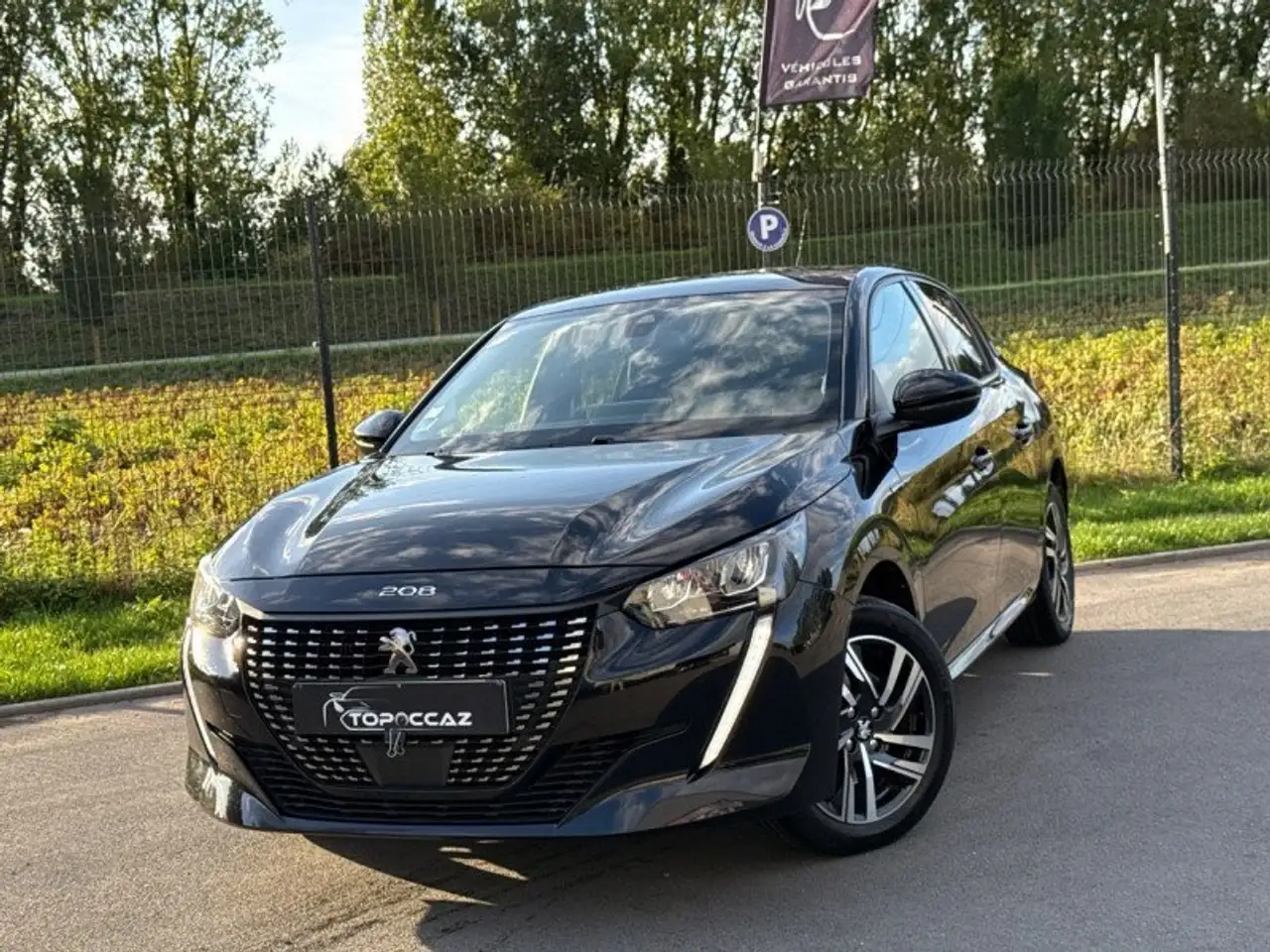 Peugeot 208 208